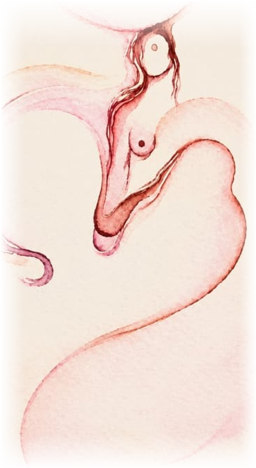 Original watercolour artwork by the artist: a flowing feminine form within a womb-like shape, in soft rose and blush tones